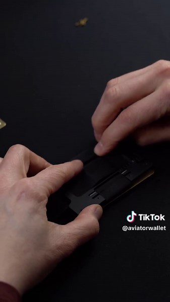 AVIATOR by EVERMADE Wallet on TikTok