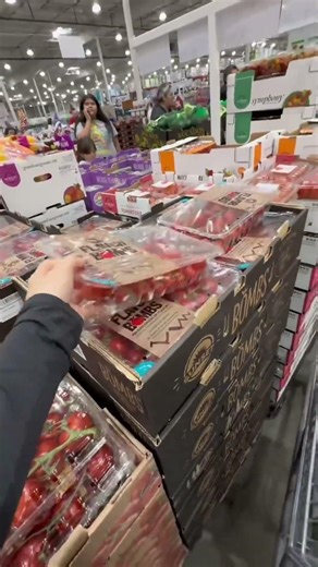 Massive Costco Haul | Grocery Shopping After Traveling 🛒🥑