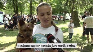 38K views · 648 reactions | Peste 100 de câini și stăpânii lor au...