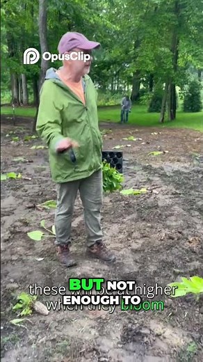 Strategic Foxglove Planting: Enhance Your Forest Garden Without Blocking Views!