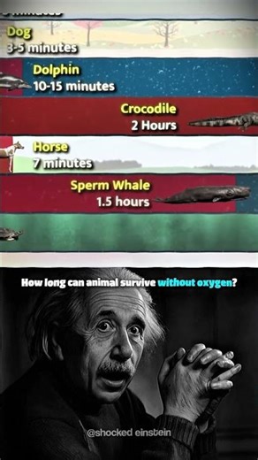 How Long Can You Survive Witbout Oxygen! #shorts #human #nature #virall #fypシ