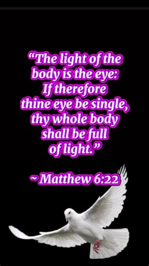 Matthew 6:22 ~ “The light of the body is the eye: If therefore thine eye be single, thy whole body shalbe full of light.” ~ For full context of Scriptures, please make the time to read/study the entire chapter/book. Please share to help spread the Word! #Matthew622 #Matthew6v22 #LivingFATHER #LovingFATHER #MostHighFATHER #WordofFATHER #AwakentoScripture #nivScripture #nivBible | Donna Wolf