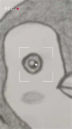 pencil drawing 🌸🐧#pencildrawing #drawing