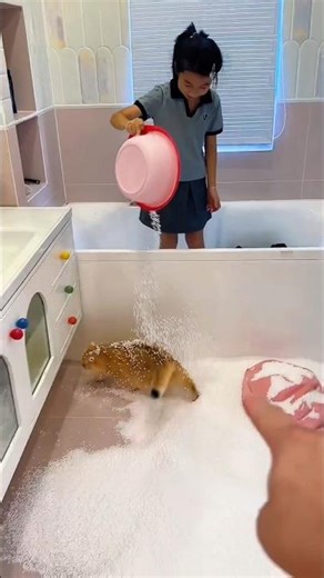 Fake Snow Didn’t Work… Dad Built a Cooling Tunnel!