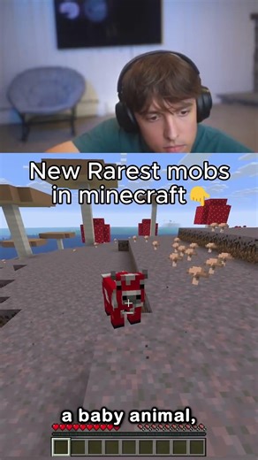 Dr Donut New Rarest mobs in minecraft...👇