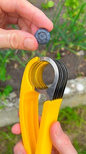 Banan Slicer vs cherry blueberry #amazing #asmr #food | Fast Easy Hacks