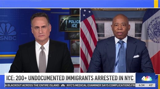ICE: 200+ undocumented immigrants arrested in NYC