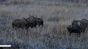 26K views · 803 reactions | Swagger Meets Dagger! We didn’t know...