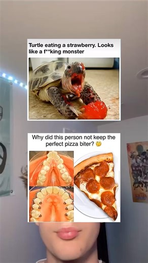 Turtle eating a strawberry