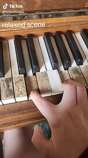 kaylee!! (@iver.covers)’s video of relaxed scene