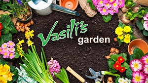 Watch Vasili's Garden Online: Free Streaming & Catch Up TV in Australia