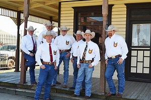 What Are Livestock Agents ?