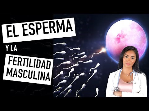 7 WAYS TO INCREASE MALE FERTILITY NATURALLY