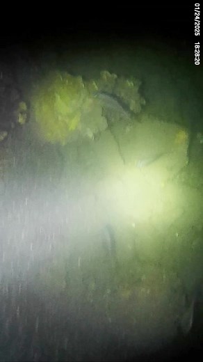 Nagdoot napod sila' pero pirti luhaga #foodtrip #spearfishing #catchandcook