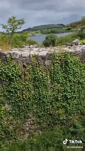 Unveiling the Appearance of Real Fairies: A Fascinating Exploration