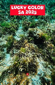 Lucky color sa 2025 | Checklist Studio