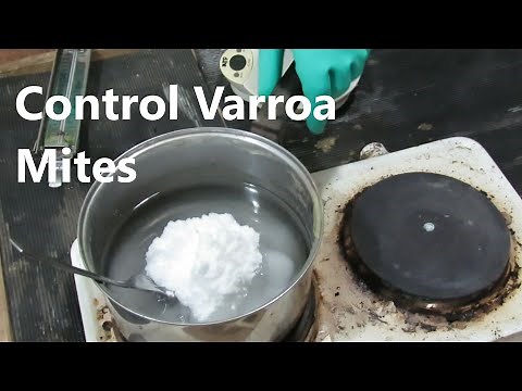 Ep 31 Extended Release Oxalic Acid Treatment