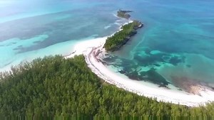 23K views · 294 reactions | Great video by schwartzy76! Thanks for posting. | Treasure Cay Hotel Resort & Marina, Abaco Bahamas | Facebook