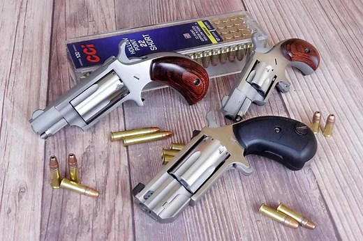 Small But Mighty: North American Arms Pocket Revolvers - Guns and Ammo