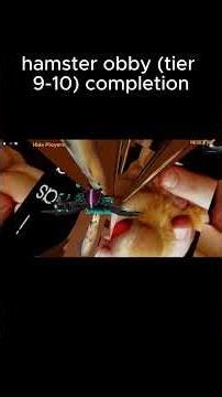 hamster obby (tier 9-10) completion