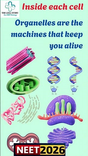 The Cell series | #cellbiology#neet #neetbiology