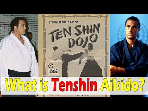 What Is Steven Seagal's Tenshin Aikido and Why Is It So Effective? / Seagal's Impact on Aikido