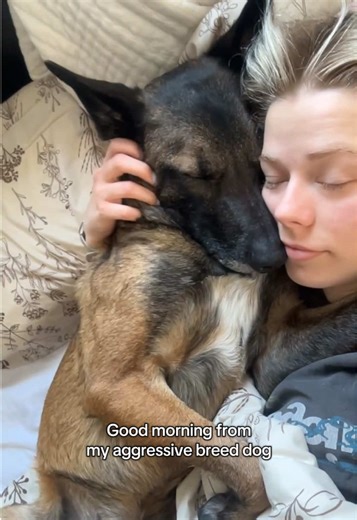 Understanding Belgian Malinois: A Journey with My Aggressive Dog