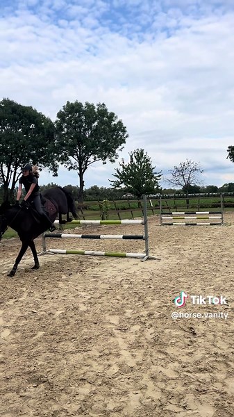 Oud filmpje>>Vany springt gewoon even met gemak 95cm #love🐴❤️