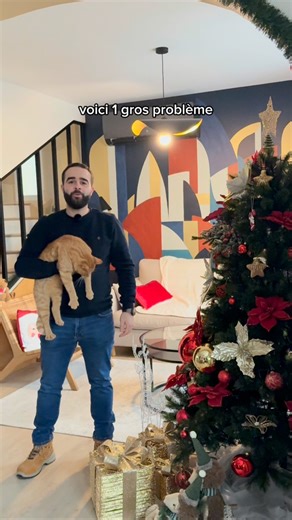 L’ATELIER DU PORTUGAL - MENUISERIE & PEINTURE |PARIS📍 on Instagram: "Sapin de Noël + chat dans la même maison ? 🎄🐈 On connaît déjà la fin… Solution simple : Quelques gouttes d’huile d’orange diluées dans de l’eau, dans un vaporisateur, appliquées sur le sapin. Les chats détestent l’odeur et s’éloignent, sans aucun risque. Résultat : décoration intacte et sapin en paix. #noel #sapindenoel #chat #astucesmaison #paris"