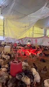 Sagar Pandey on Reels