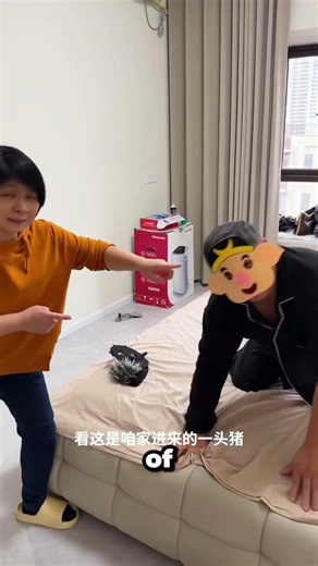 Why Was He Jumping on the Bed? 😱 #usa #ytshorts