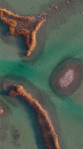 I’d love to catch a flats boat ripping through some of this marsh one of these days