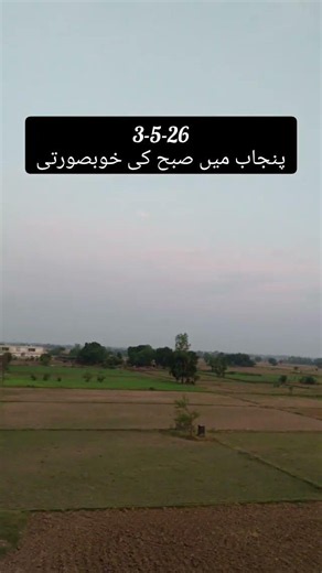 morning beauty in panjab Pakistan | beautiful morning view in panjab Pakistan
