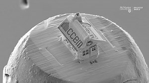 This is the world's smallest gingerbread house