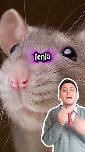 180K views · 7.9K reactions | ¡LA VERDAD TRAS LA LECHUZA DE RON...