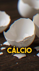 Sabes porque algumas galinhas comem os próprios ovos? Hoje falo-te sobre alguns dos motivos. Já sabias? As tuas galinhas também fazem isso? O que costumam fazer para resolver? Conta-me tudo ;) | A cientista agrícola