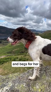 Show their joints some love & get 50% off YuMOVE Joint Care for Dogs...