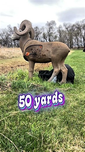 “Did you shoot today? Get out, clear your mind, and do a little bit of archery therapy