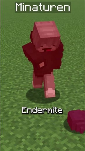 the secret endermite troll..