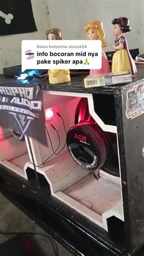 Reviewing the Polytron 6 Inch Speaker