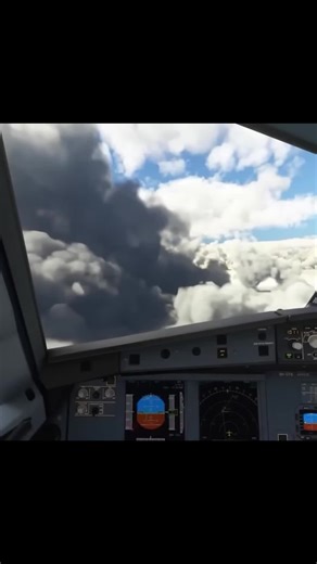 Aircraft Descend Warning Ignored: A Safety Lesson