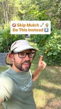 Skip mulch and do this instead on raised beds #Gardening #RaisedBeds #GrowYourOwnFood ￼