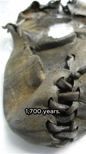 A Discovery Lost Beneath the Glacier