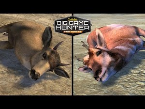 Hunting Small Game With a Shotgun In Cabela's Big Game Hunter: Pro Hunts!