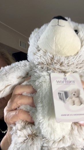 Warmies can be warmed in the microwave (follow instructions!) or chilled in the freezer to soothe an ouchie. They’re weighted, cozy, and come in so many cute animals — I’m loving the Gray Bear. 🤍 See it in my curated list of Kid Gifts I’m finding this season. As an Amazon associate, I earn from qualifying purchases. Link is in the caption for you: https://geni.us/KIDSaffordablegifts | More With Less Today