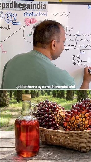 Which Oils Have Saturated Fatty Acids