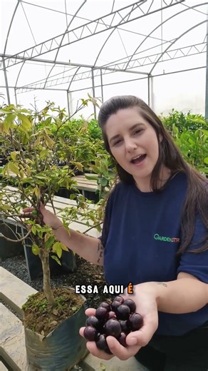 Jabuticaba plant producing faster