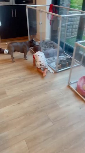 Andrea espada fans (@andrea_espada_tv_fans)’s videos with original sound - Andrea espada fans