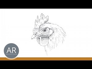 Tierskizzen, Tierillustrationen, Tierzeichnungen zeichnen lernen. Lerne ganz einfach Tiere zeichnen