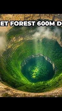 Earth's Deepest Sinkhole Has a Hidden Forest 🕳️🌿